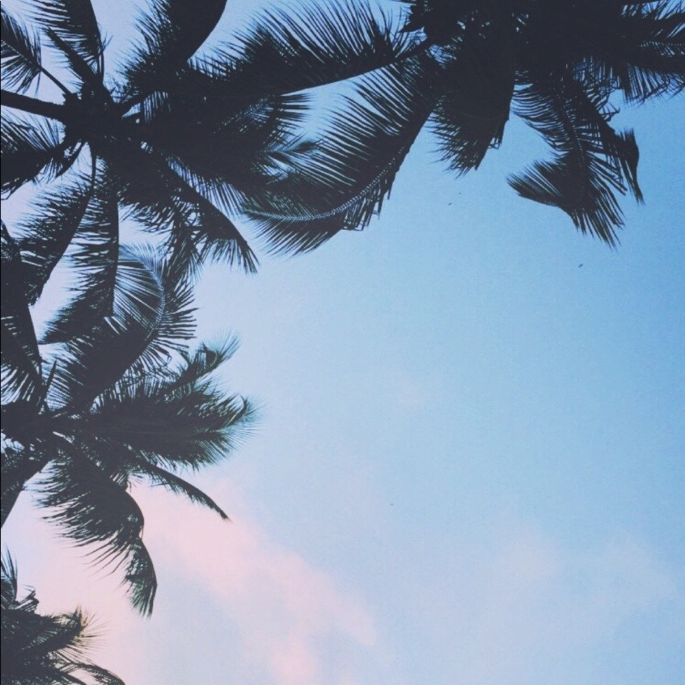 Meet your Posher, Vianey